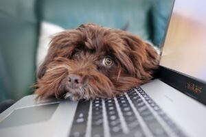 ママが在宅副業をどのように始めるか？